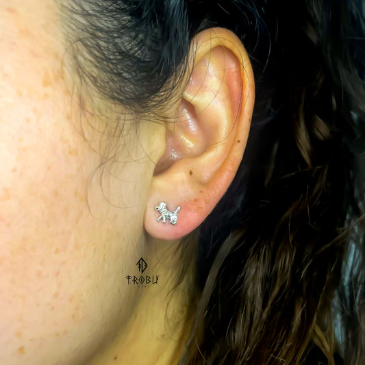 Aros Dog Plata