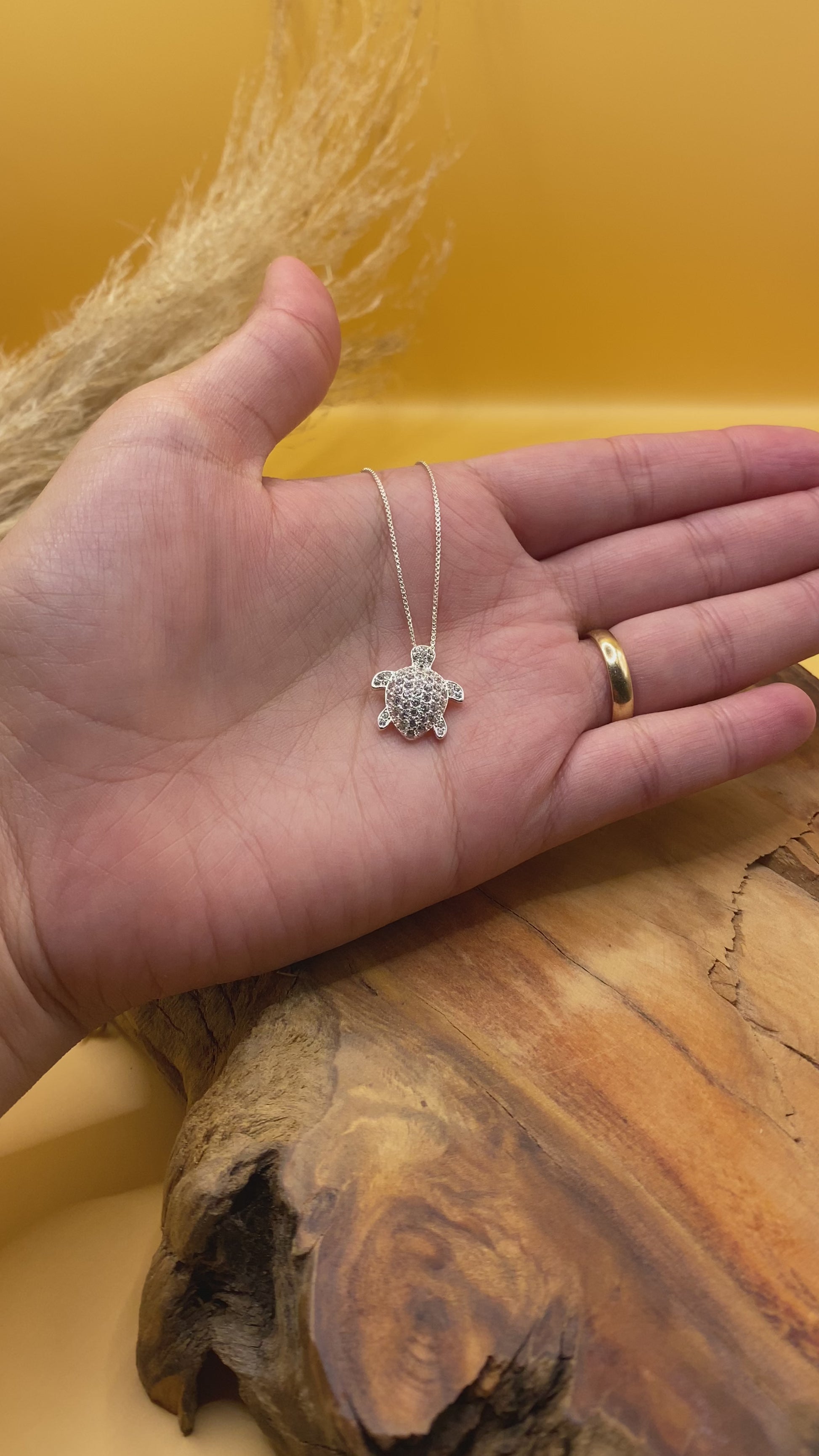 Collar Tortuga Honu Circones Plata